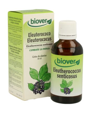 Eleutherococcus Senticosus