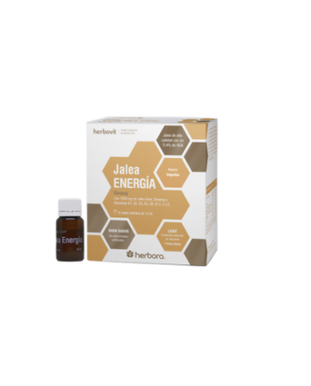 Jalea Energía (16 Viales)
