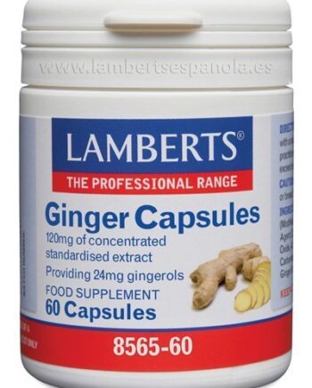 Jengibre 14.400 mg como extracto de la raíz - 60 Cápsulas