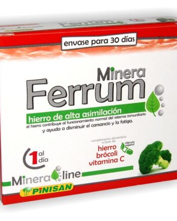 Minera Ferrum